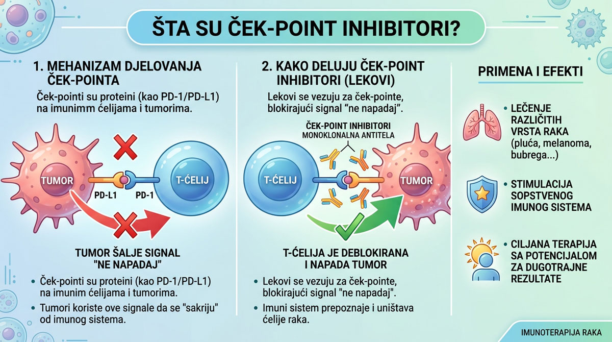 Šta su ček-point inhibitori?, Udruženje pacijenata Osmeh